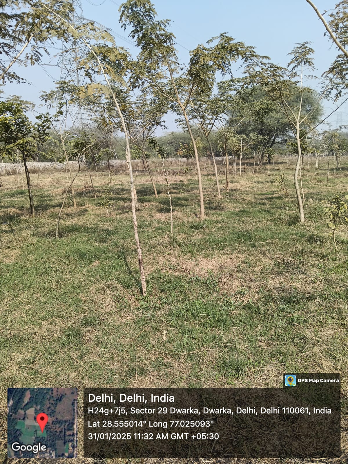 Compensatory Afforestation
